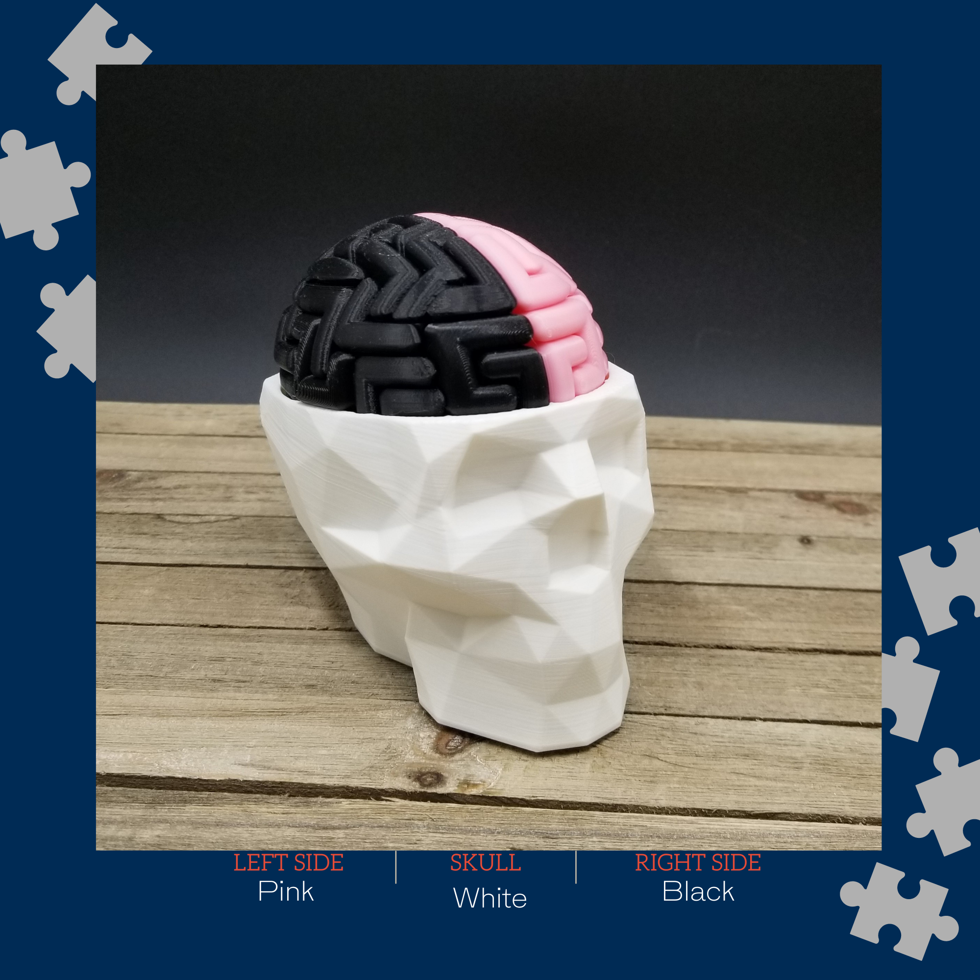 3D Brain Puzzle / 3D 🧠 Puzzle 28 Left Brain Pieces & 28 Right